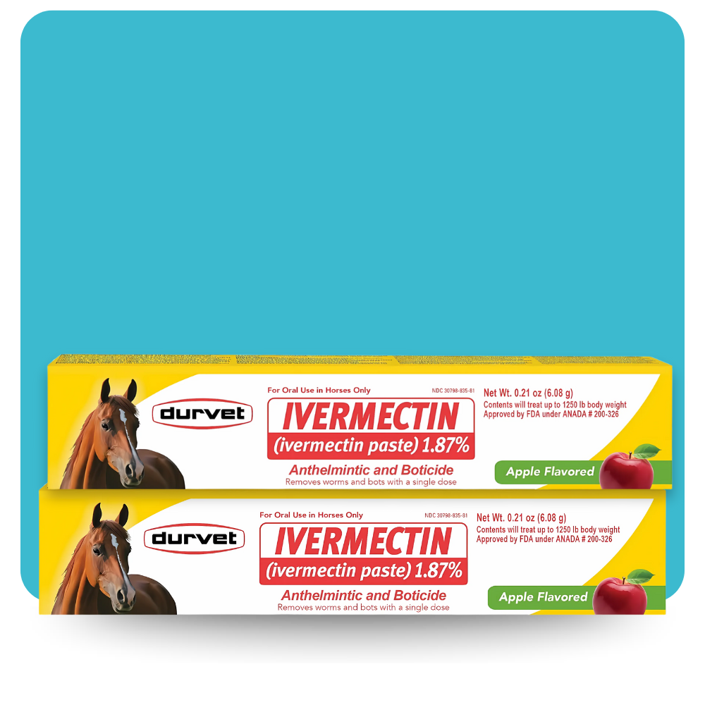 Two yellow boxes of Durvet Ivermectin Paste 1.87% Apple Flavored Horse Dewormer, featuring images of a horse and red apple, are displayed against a blue background.