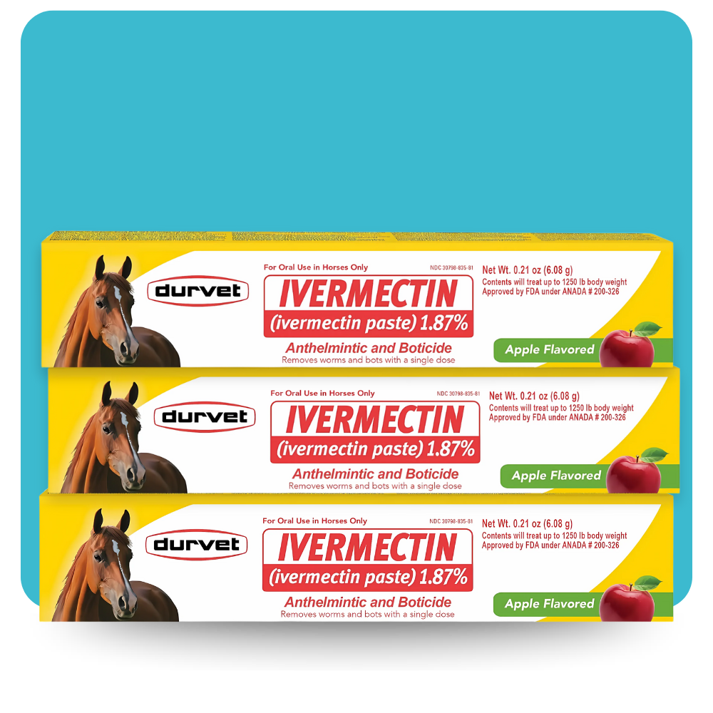 Three yellow boxes of Durvet Ivermectin Paste 1.87% Apple Flavored 6.08g Horse Dewormer, with horse images and bold red text for parasite control, are stacked on a blue background. Safe for foals, broodmares, and breeding stallions.