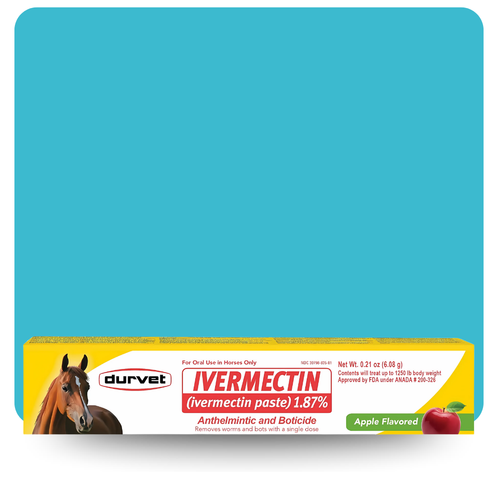 Durvet Ivermectin 1.87% Apple Flavored Horse Dewormer Paste – 6.08g syringe box front showing equine anthelmintic packaging with red apple graphic and parasite treatment label.
