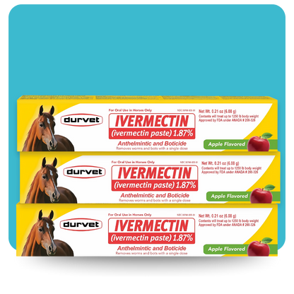 Three yellow boxes of Durvet Ivermectin Paste 1.87% Apple Flavored 6.08g Horse Dewormer, with horse images and bold red text for parasite control, are stacked on a blue background. Safe for foals, broodmares, and breeding stallions.