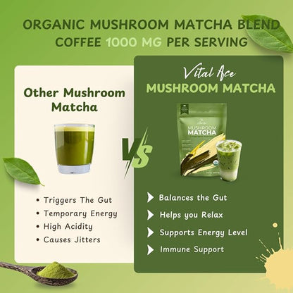 Vital Ace Mushroom Matcha | Organic 7 Adaptogenic Mushrooms and Ceremonial-Grade Matcha with Lion's Mane, Reishi, Cordyceps & Shiitake for Energy, Focus & Immunity | 30 Servings + FREE FROTHER