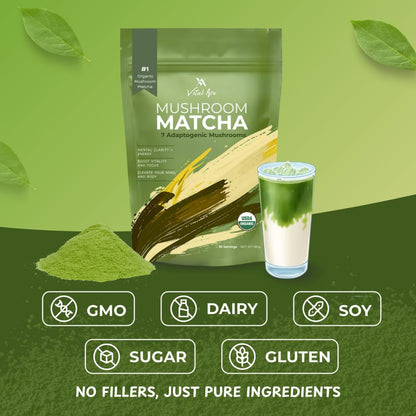 Vital Ace Mushroom Matcha | Organic 7 Adaptogenic Mushrooms and Ceremonial-Grade Matcha with Lion's Mane, Reishi, Cordyceps & Shiitake for Energy, Focus & Immunity | 30 Servings + FREE FROTHER