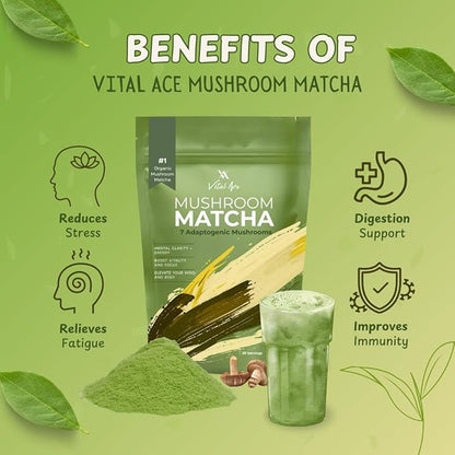 Vital Ace Mushroom Matcha | Organic 7 Adaptogenic Mushrooms and Ceremonial-Grade Matcha with Lion's Mane, Reishi, Cordyceps & Shiitake for Energy, Focus & Immunity | 30 Servings + FREE FROTHER