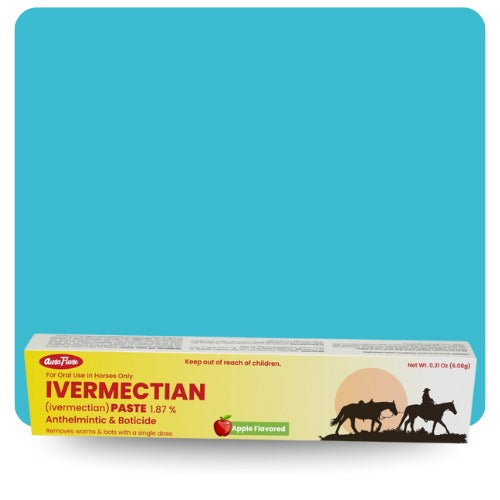 Auraflare Ivermectin 1.87% Apple Flavored Horse Dewormer Paste – 6.08g syringe box front showing equine anthelmintic packaging with red apple graphic and parasite treatment label.