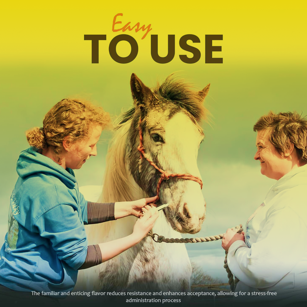 Two smiling people stand by a white and brown horse, holding its reins. Above them, bold text reads “Easy to Use”—a yellow banner showcases Durvet’s apple flavored ivermectin Horse Paste 1.87% (6.08g), making deworming simple and pleasant.