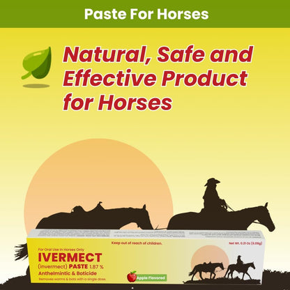 Ivermectin Paste 1.87% Apple Flavored 6.08g – Horse Dewormer for Parasite Control – Safe for Foals, Broodmares, Breeding Stallions – Removes Worms & Bots - Pack of 3