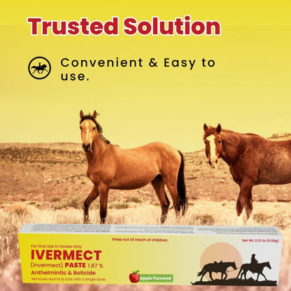 Ivermectin Paste 1.87% Apple Flavored 6.08g – Horse Dewormer for Parasite Control – Safe for Foals, Broodmares, Breeding Stallions – Removes Worms & Bots - Pack of 3