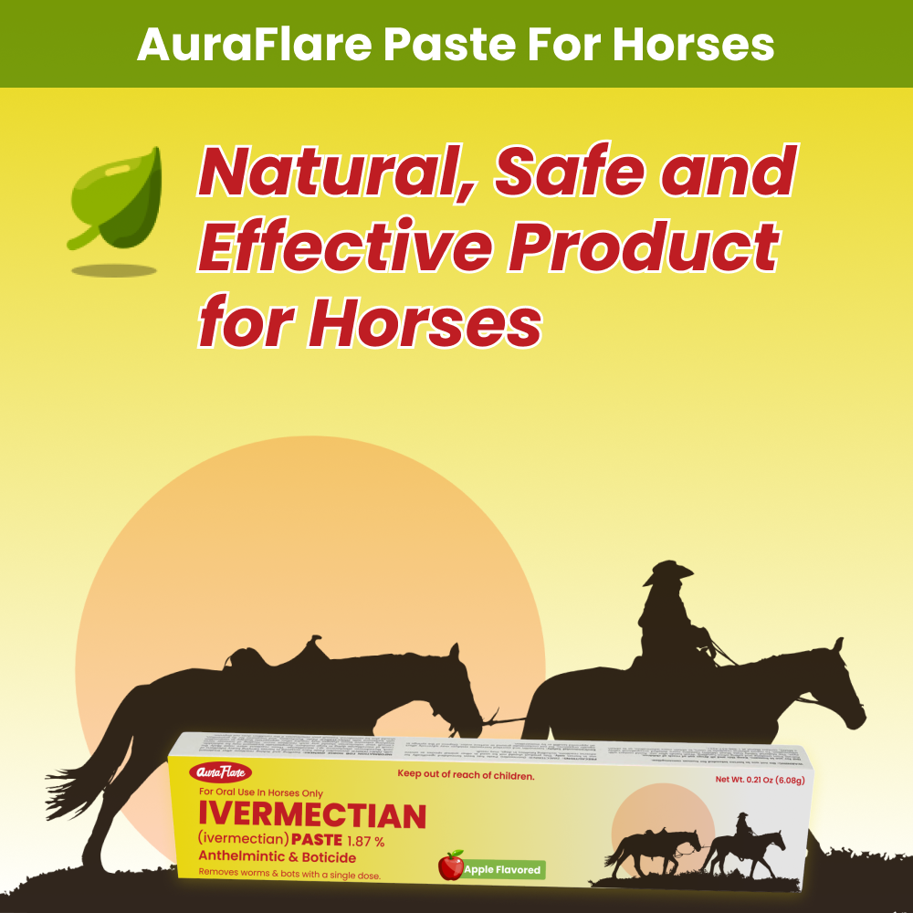AuraFlare Ivermectin paste for horses used for deworming and parasite control