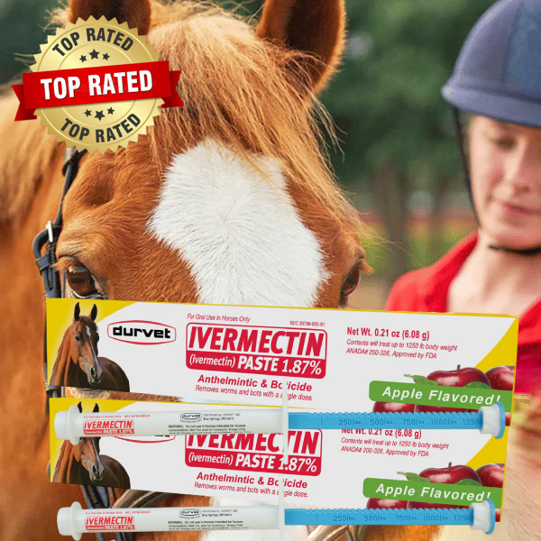 🔥Last Day 50% OFF - ivermectin Horse Paste 1.87% 6.08g Tubes