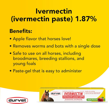Durvet Ivermectin Paste 1.87% Horse Dewormer – Apple Flavored Gel highlighting key benefits such as single-dose worm and bot removal, safe use on all horses including foals, and easy oral administration in a 6.08g syringe.