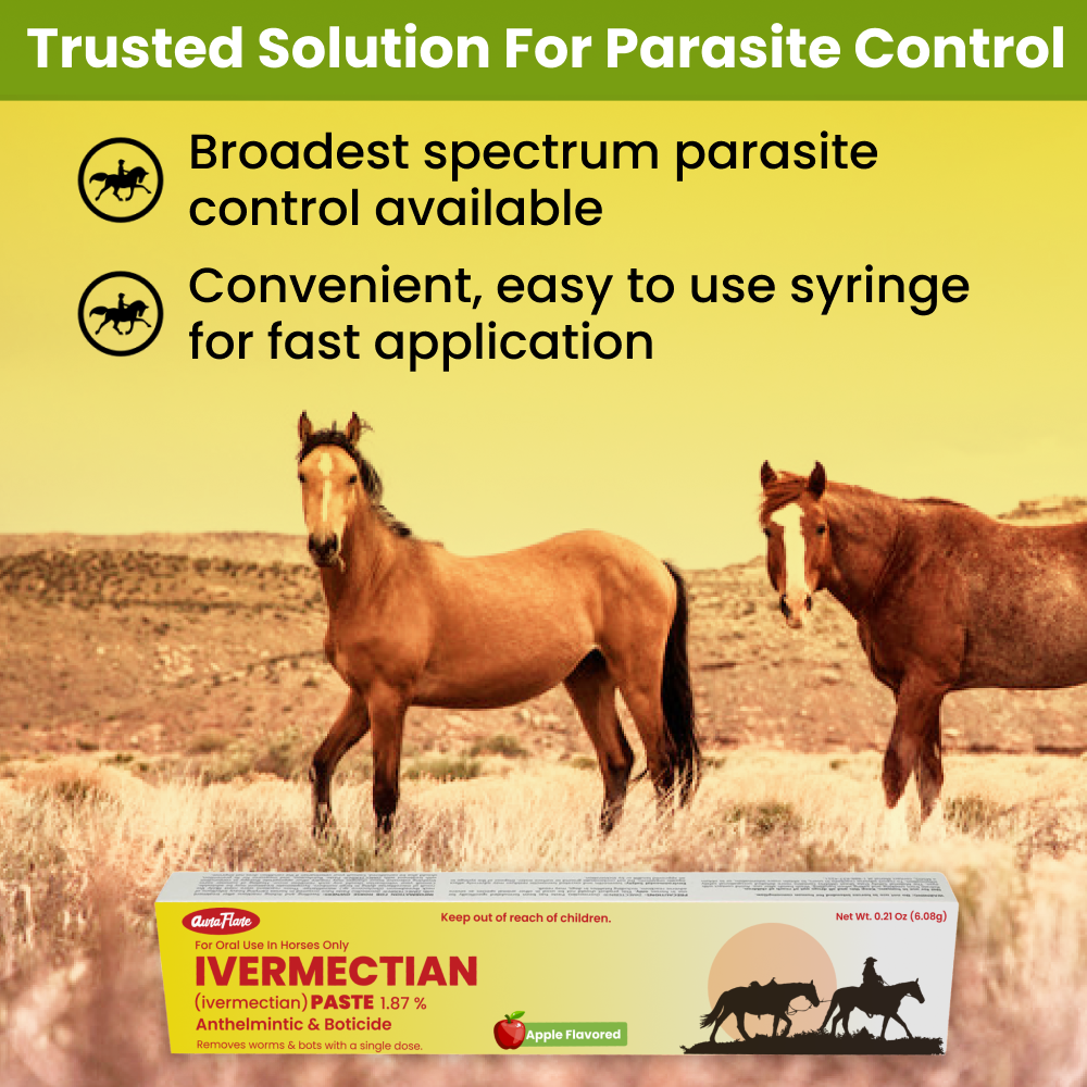 Ivermectin Paste 1.87% equine dewormer for parasite control in horses with oral syringe