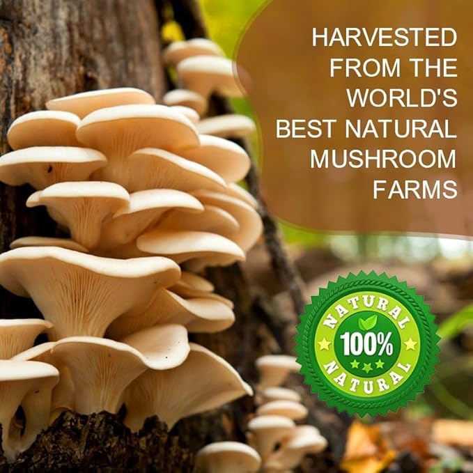 "100% natural mushroom supplement harvested from top farms with oyster mushrooms on tree trunk"

