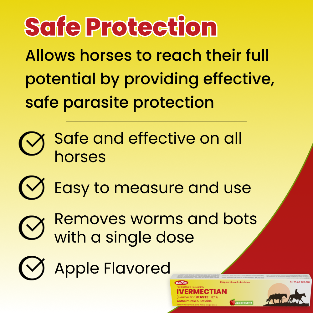 Safe Protection apple-flavored Ivermectin dewormer for horses, single-dose parasite treatment

