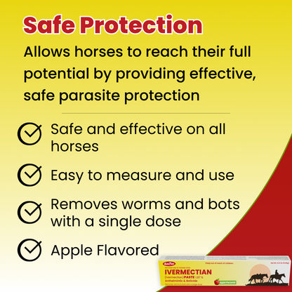 Safe Protection apple-flavored Ivermectin dewormer for horses, single-dose parasite treatment

